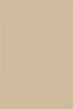 FARROW AND BALL OXFORD STONE NO. 226 PAINT
